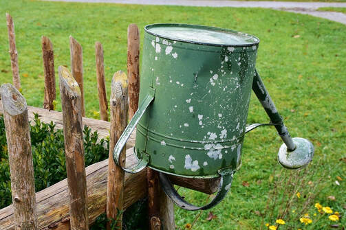 upside down watering can-tree care tips_chelmsford tree surgeon