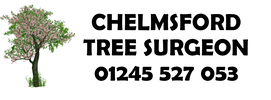 CHELMSFORD TREE SURGEONS