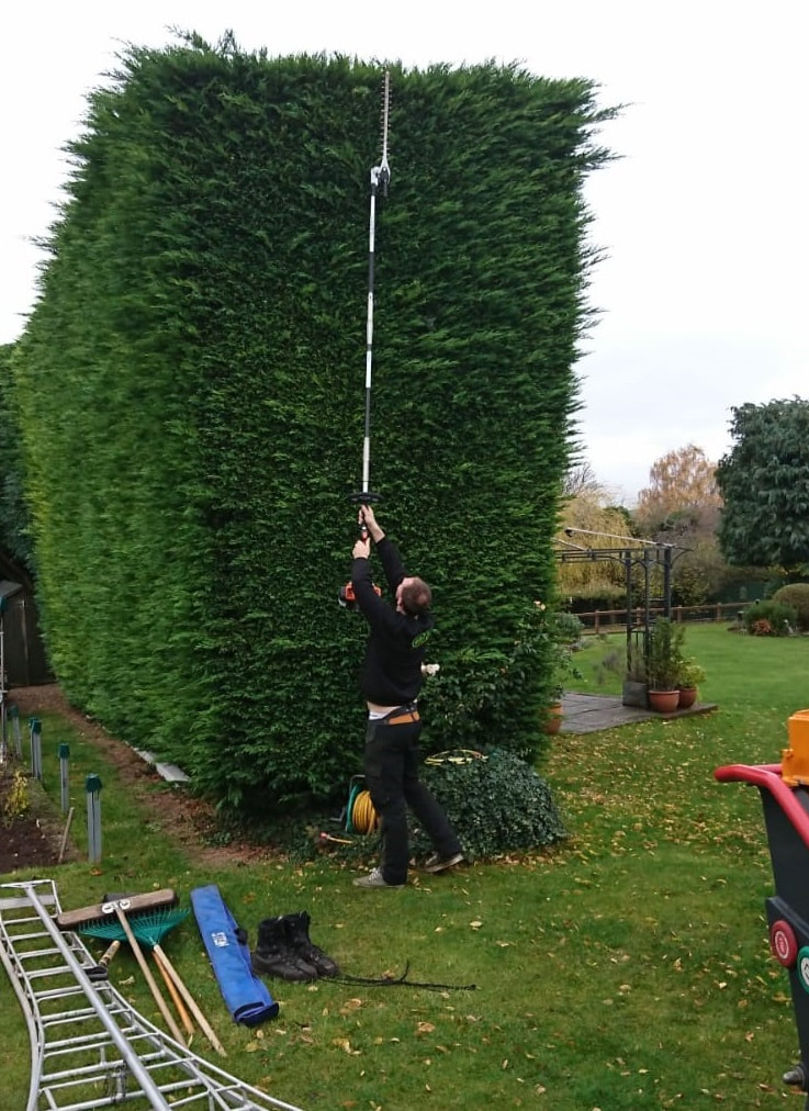 chelmsford tree surgeon on the ground using hedge trimmer on a pole